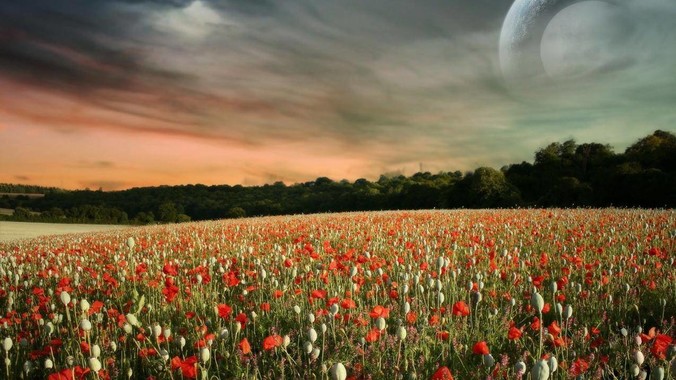 最近你明白了些什么道理？